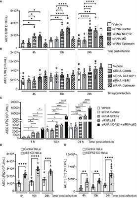 Identification of autophagy receptors for the Crohn’s disease-associated adherent-invasive Escherichia coli